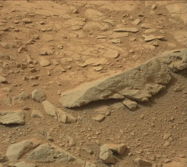 Sol 137: Mast Camera (Mastcam)