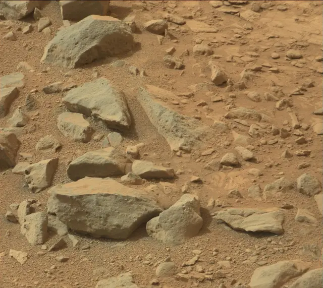 Sol 137: Mast Camera (Mastcam)