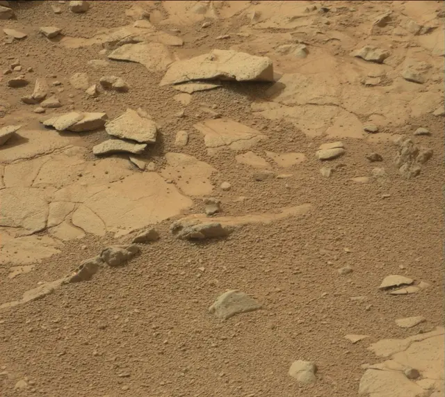 Sol 137: Mast Camera (Mastcam)