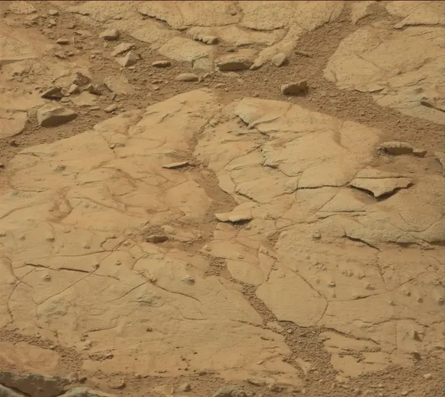 Sol 137: Mast Camera (Mastcam)