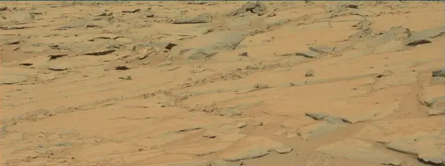 Sol 141: Mast Camera (Mastcam)
