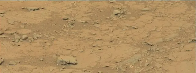 Sol 141: Mast Camera (Mastcam)