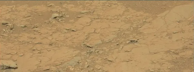 Sol 141: Mast Camera (Mastcam)
