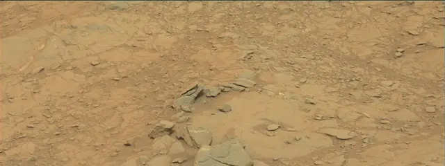 Sol 141: Mast Camera (Mastcam)