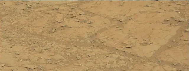 Sol 141: Mast Camera (Mastcam)