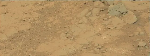 Sol 141: Mast Camera (Mastcam)