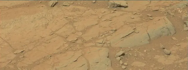 Sol 141: Mast Camera (Mastcam)