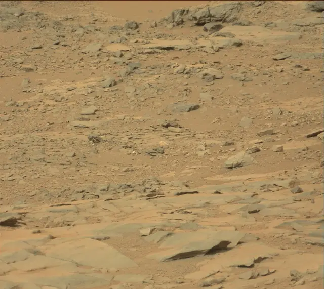 Sol 141: Mast Camera (Mastcam)