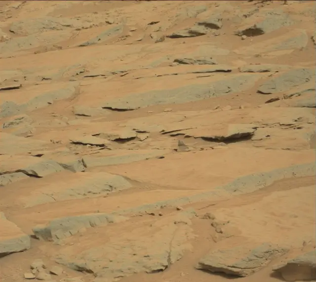 Sol 141: Mast Camera (Mastcam)