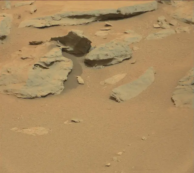 Sol 141: Mast Camera (Mastcam)