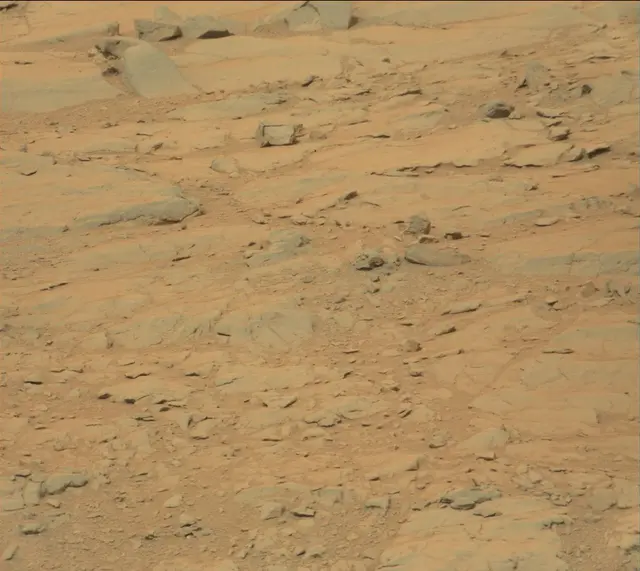 Sol 141: Mast Camera (Mastcam)