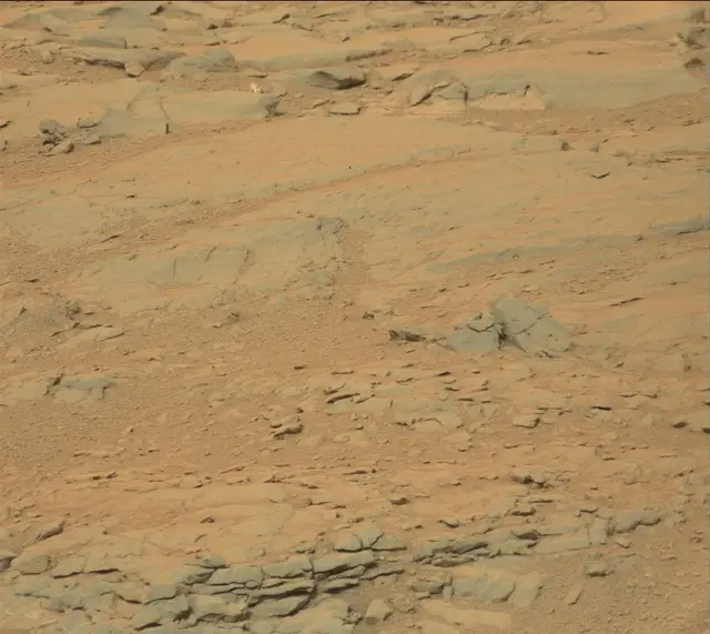 Sol 141: Mast Camera (Mastcam)
