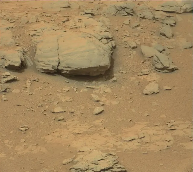 Sol 141: Mast Camera (Mastcam)