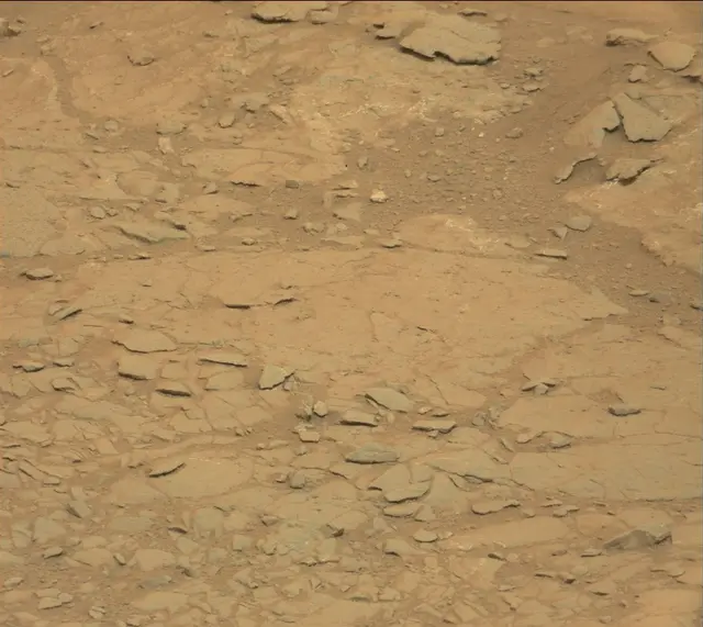 Sol 141: Mast Camera (Mastcam)