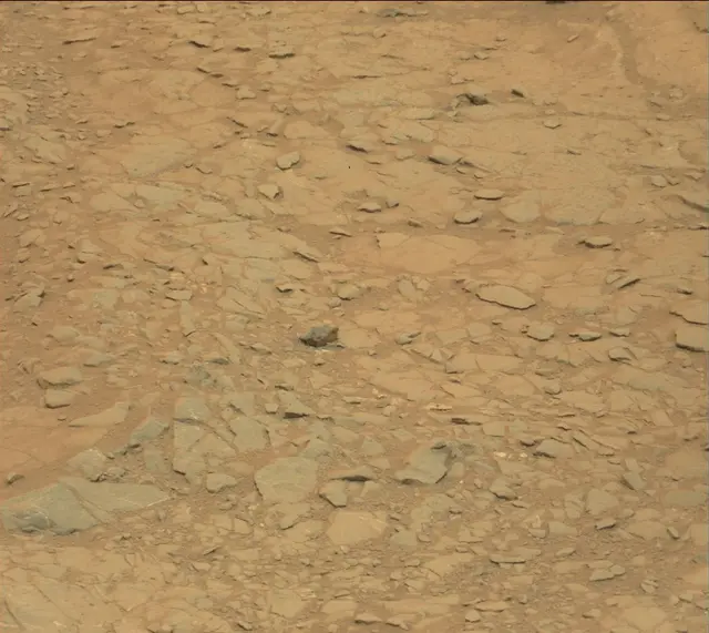 Sol 141: Mast Camera (Mastcam)