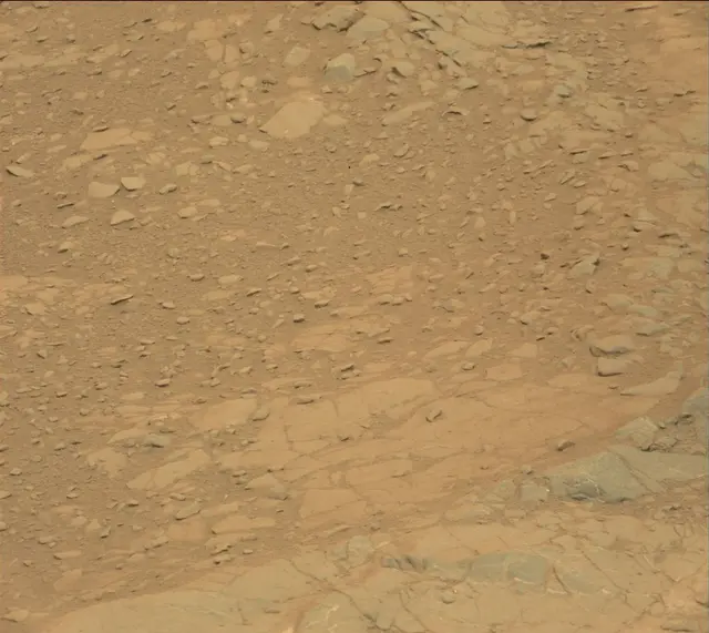 Sol 141: Mast Camera (Mastcam)