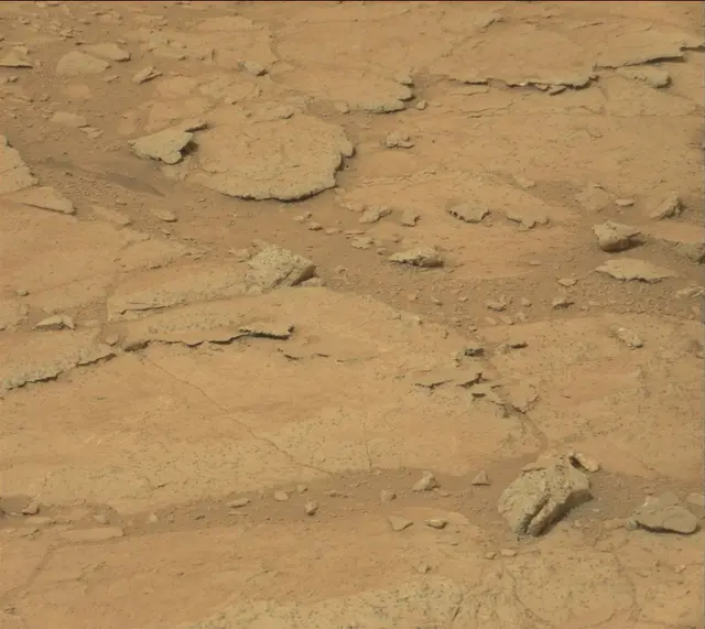 Sol 141: Mast Camera (Mastcam)