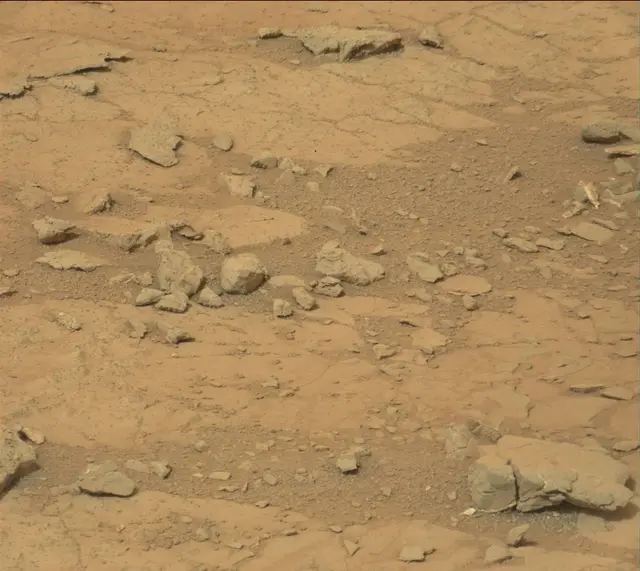 Sol 141: Mast Camera (Mastcam)