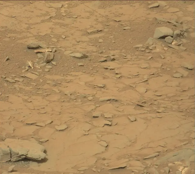 Sol 141: Mast Camera (Mastcam)