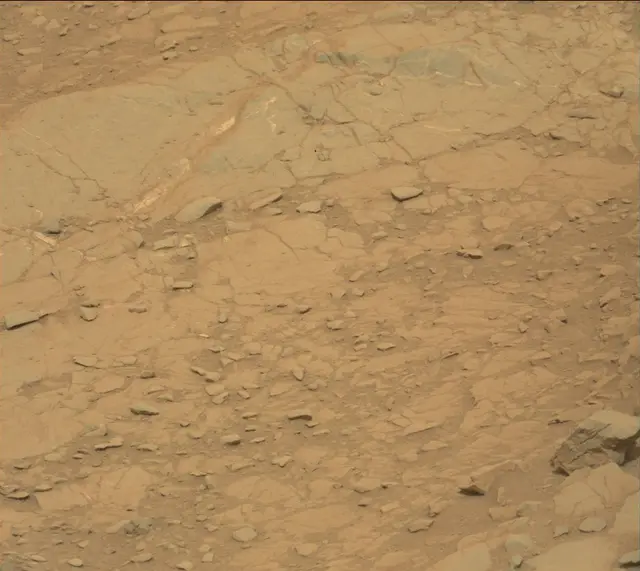 Sol 141: Mast Camera (Mastcam)