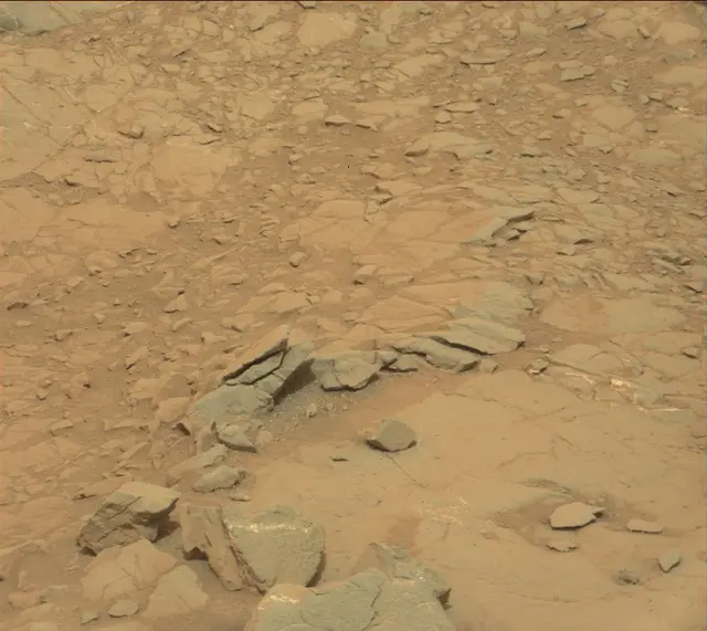 Sol 141: Mast Camera (Mastcam)