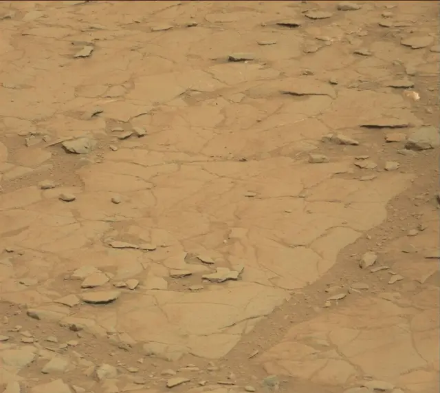 Sol 141: Mast Camera (Mastcam)