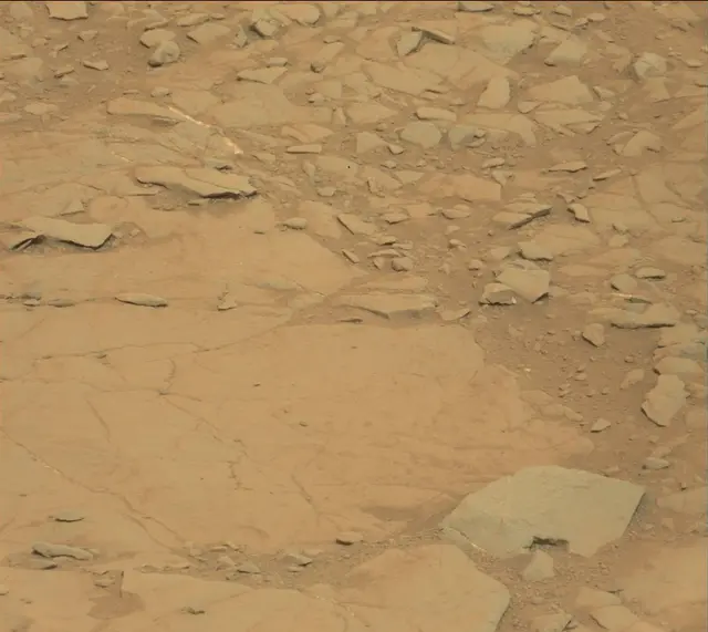 Sol 141: Mast Camera (Mastcam)
