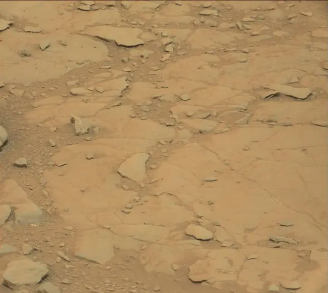 Sol 141: Mast Camera (Mastcam)