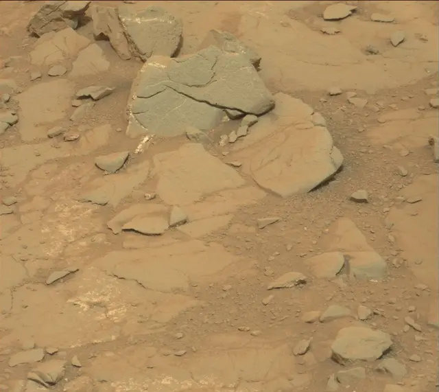 Sol 141: Mast Camera (Mastcam)