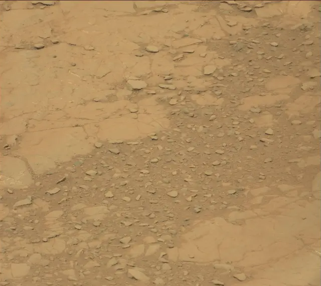 Sol 141: Mast Camera (Mastcam)