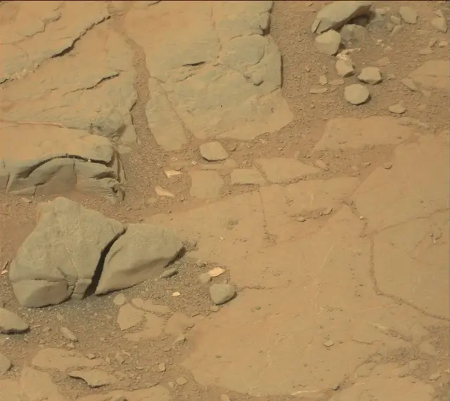 Sol 141: Mast Camera (Mastcam)
