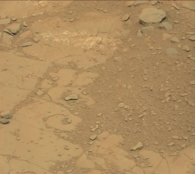 Sol 141: Mast Camera (Mastcam)