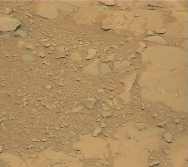 Sol 141: Mast Camera (Mastcam)