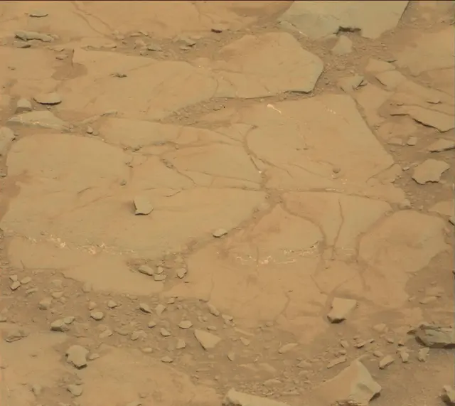 Sol 141: Mast Camera (Mastcam)