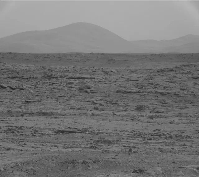Sol 141: Mast Camera (Mastcam)
