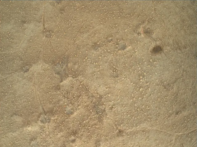 Sol 150: Mars Hand Lens Imager (MAHLI)