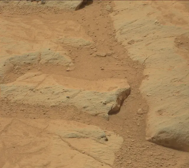 Sol 155: Mast Camera (Mastcam)