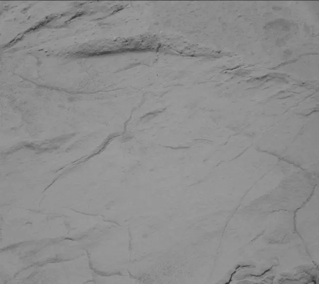 Sol 155: Mast Camera (Mastcam)