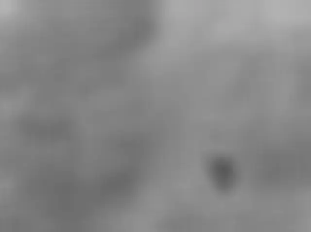 Sol 156: Mars Hand Lens Imager (MAHLI)