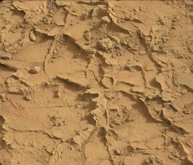 Sol 164: Mast Camera (Mastcam)
