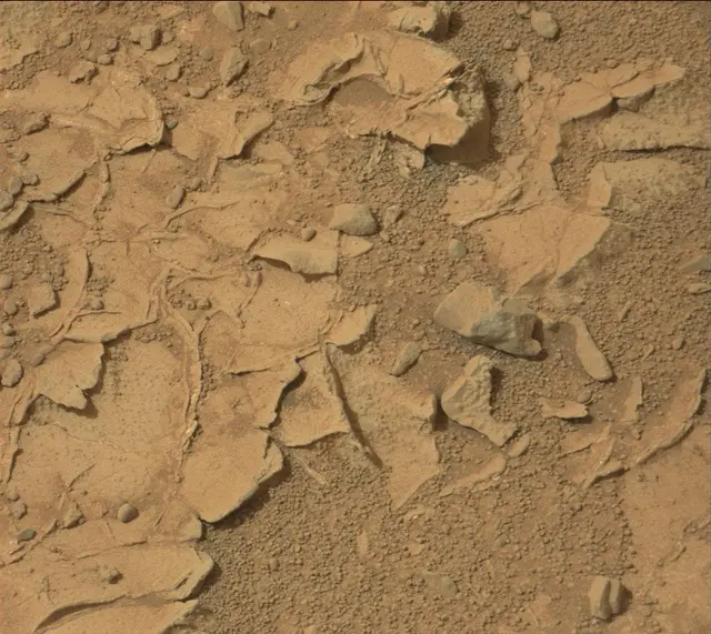Sol 165: Mast Camera (Mastcam)