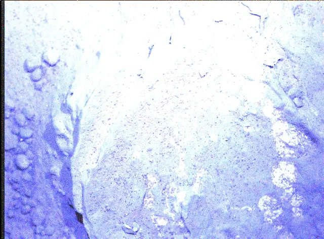 Sol 165: Mars Hand Lens Imager (MAHLI)