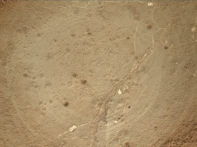 Sol 169: Mars Hand Lens Imager (MAHLI)