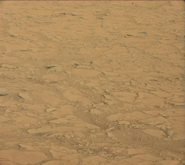 Sol 170: Mast Camera (Mastcam)