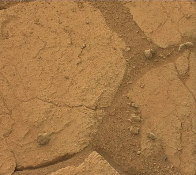 Sol 170: Mast Camera (Mastcam)