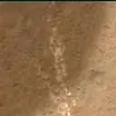 Sol 178: Mars Hand Lens Imager (MAHLI)
