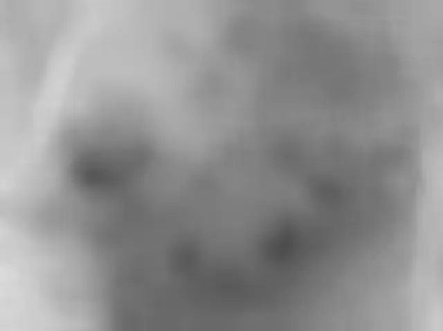 Sol 181: Mars Hand Lens Imager (MAHLI)