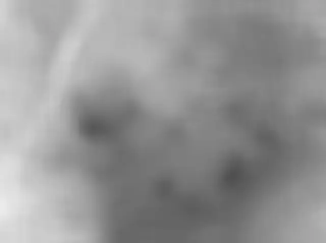 Sol 181: Mars Hand Lens Imager (MAHLI)