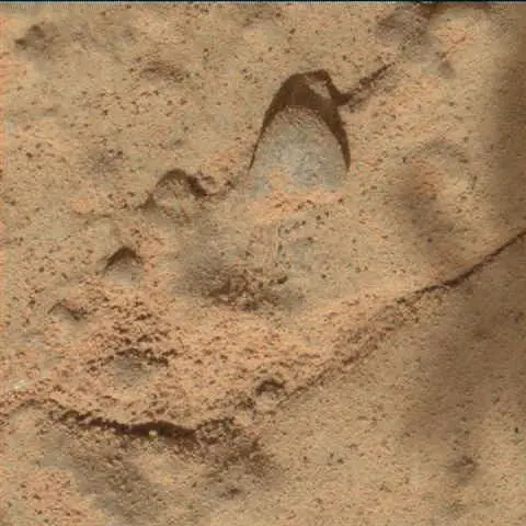 Sol 181: Mars Hand Lens Imager (MAHLI)