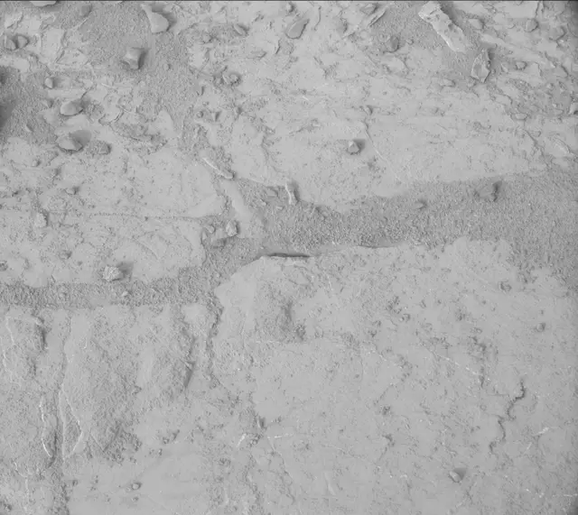 Sol 184: Mast Camera (Mastcam)